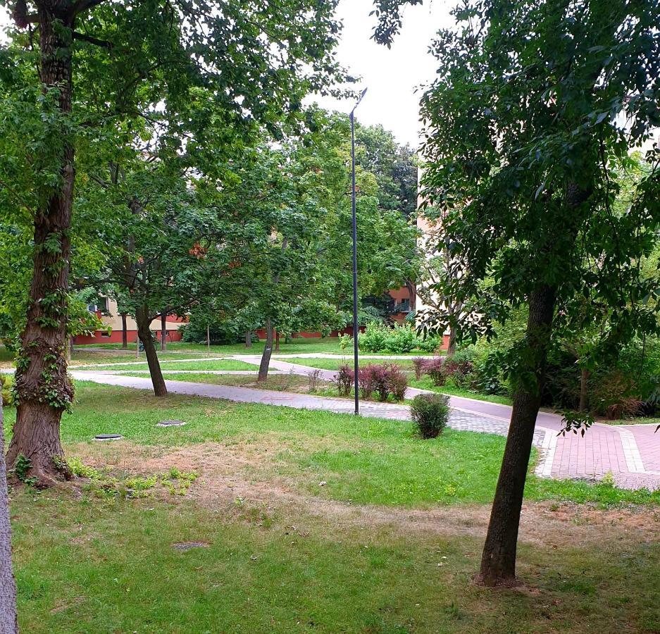 Best Choice 2-Bedroom Apartment Плоцк Екстериор снимка